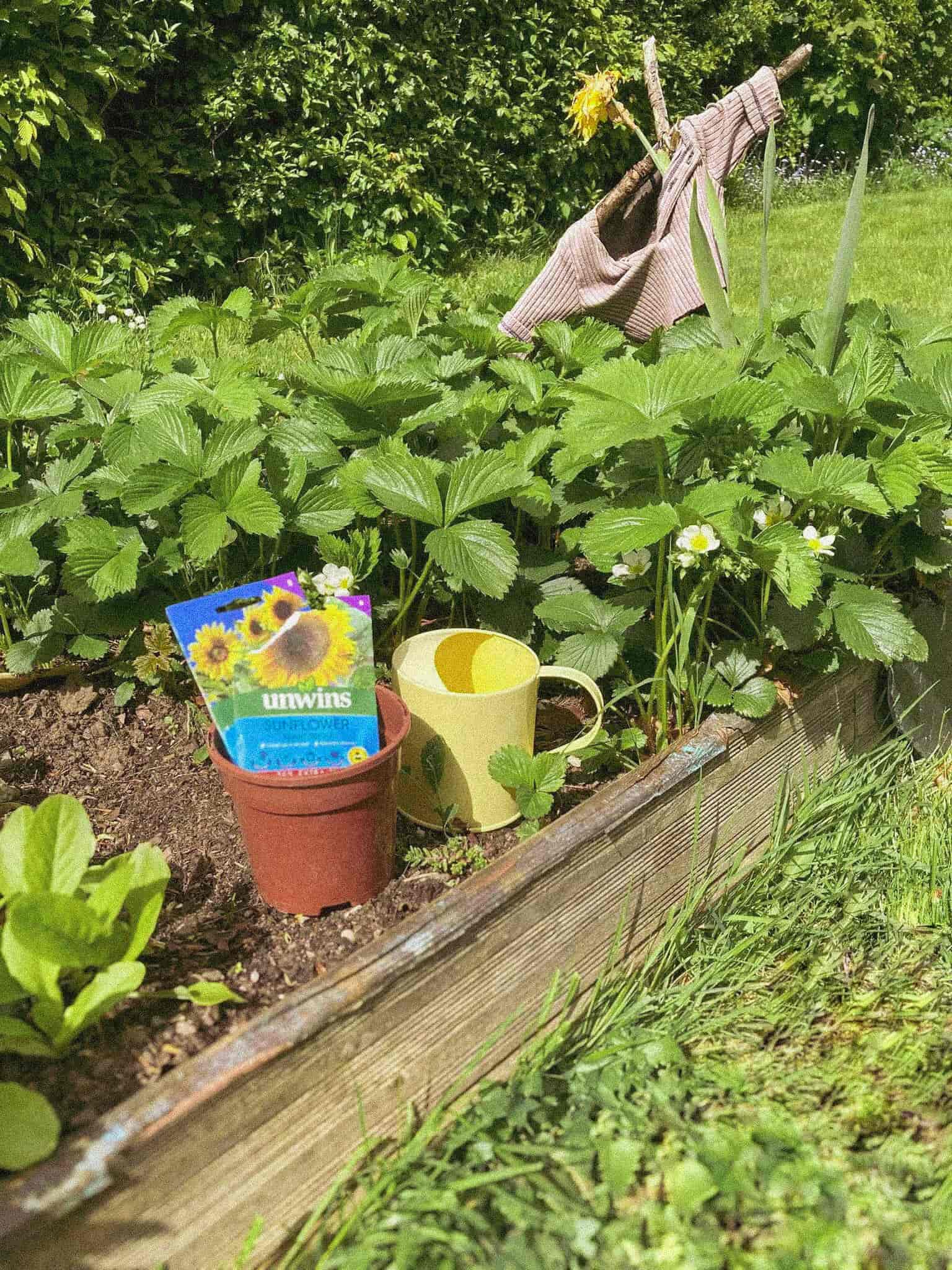 Childrens gardening activities kinloss moray